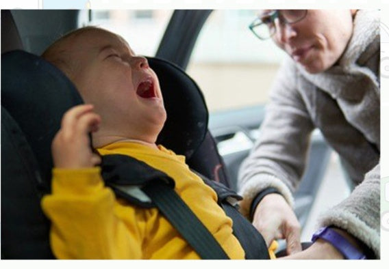 Baby Electric Simulation Steering Wheel Toy